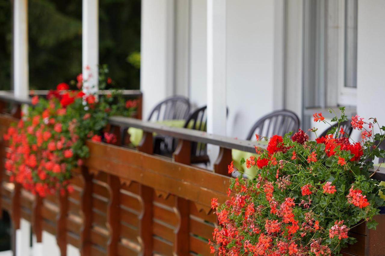 Tannmuehle Hotel Und Restaurant Gmbh Callenberg Luaran gambar