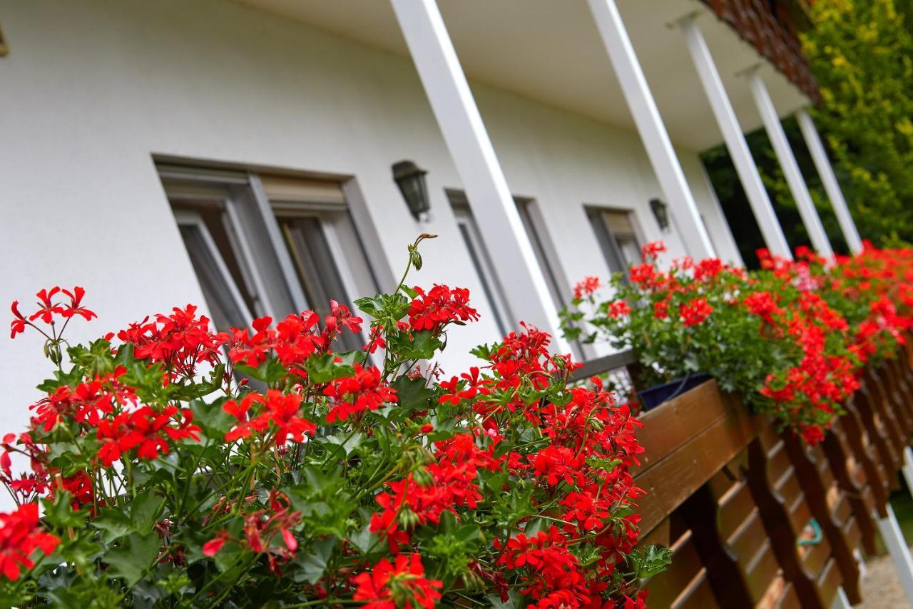 Tannmuehle Hotel Und Restaurant Gmbh Callenberg Luaran gambar